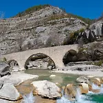 La Salamandre De L Olivier - Le Cedre Bleu *