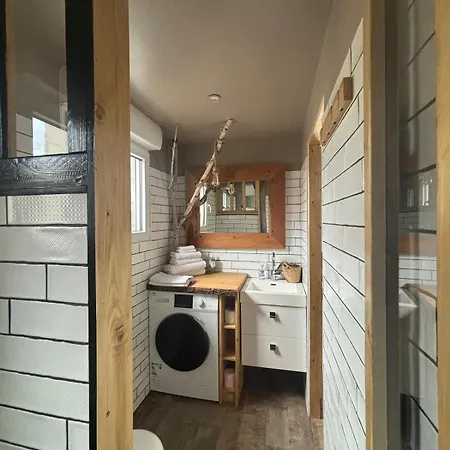 La Salamandre De L Olivier - Le Cedre Bleu *