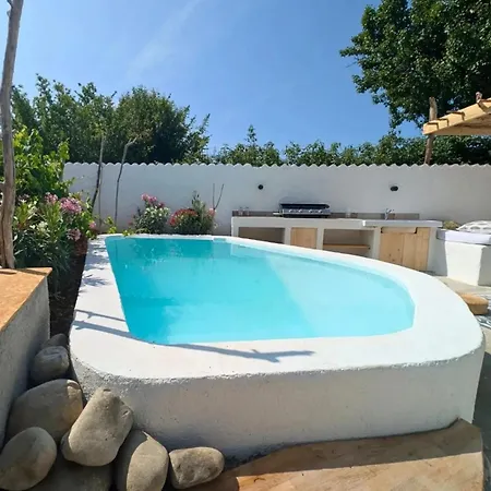 La Salamandre De L Olivier - Le Cedre Bleu *