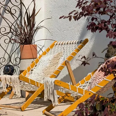 La Salamandre De L Olivier - Le Cedre Bleu Vakantiehuis *