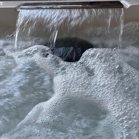 La Salamandre De L Olivier - Le Cedre Bleu