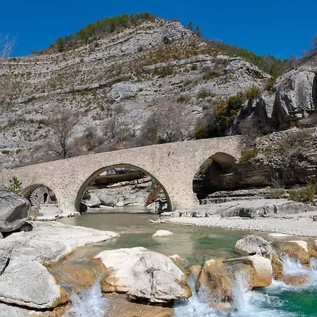 La Salamandre De L Olivier - Le Cedre Bleu *