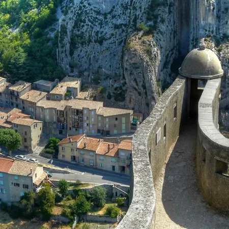 La Salamandre De L Olivier - Le Cedre Bleu Aubignosc