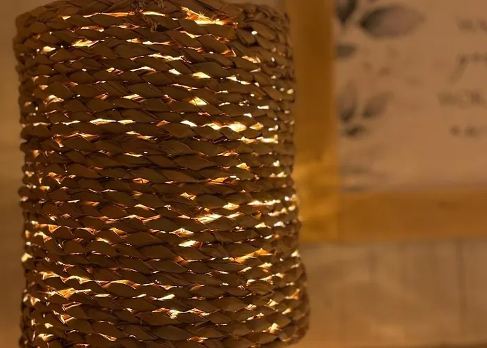 La Salamandre De L Olivier - Le Cedre Bleu Aubignosc