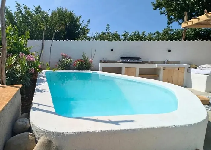 La Salamandre De L Olivier - Le Cedre Bleu *