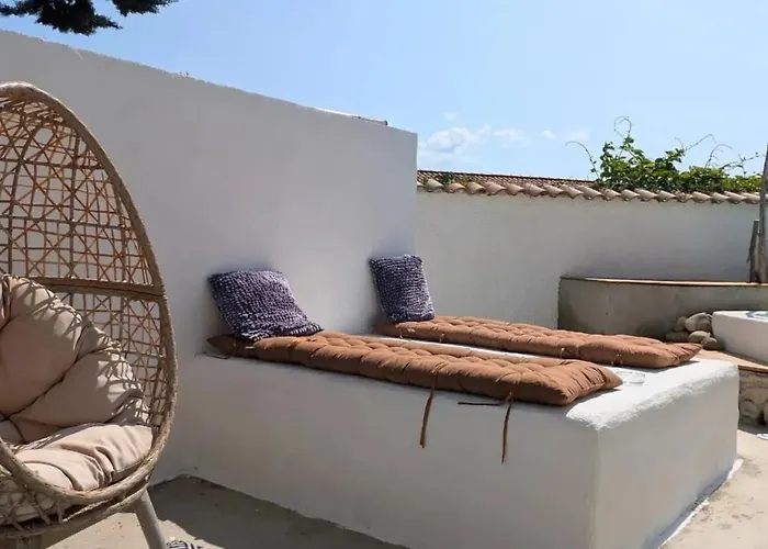 La Salamandre De L Olivier - Le Cedre Bleu