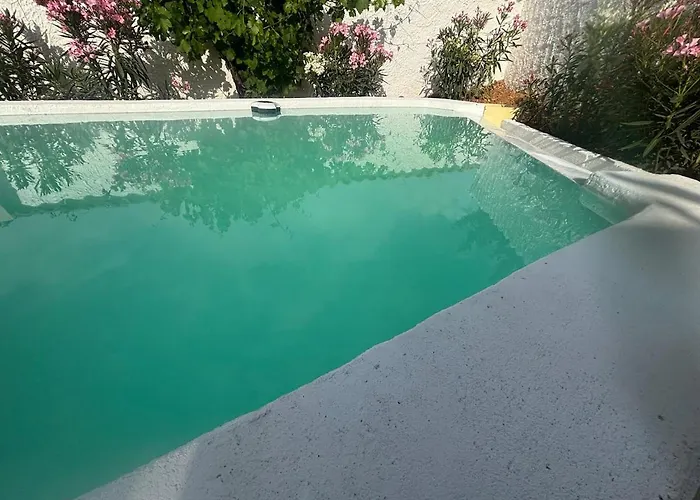 La Salamandre De L Olivier - Le Cedre Bleu Aubignosc