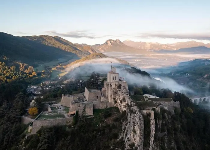 La Salamandre De L Olivier - Le Cedre Bleu
