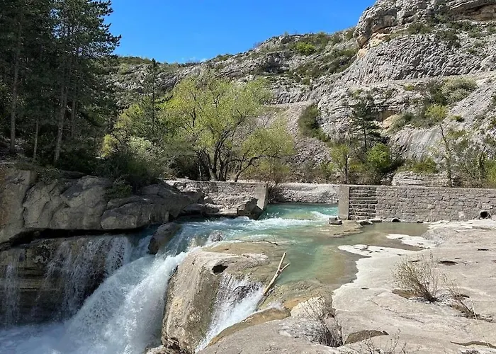 La Salamandre De L Olivier - Le Cedre Bleu Feriehus